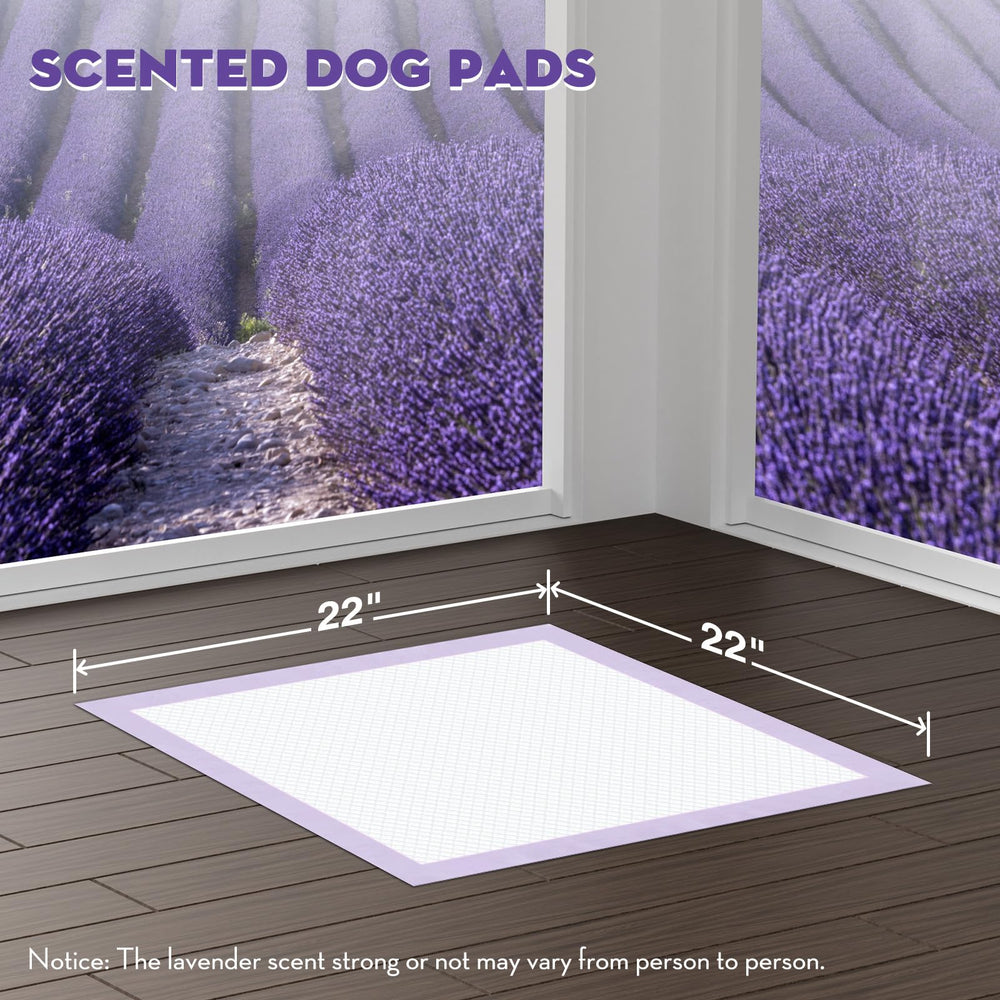Croci gros plan sur les 6 couches montrant la texture et l'absorption rapide pour sols secs