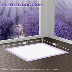 CROCI gros plan sur la texture et le noyau 6 couches, absorption rapide