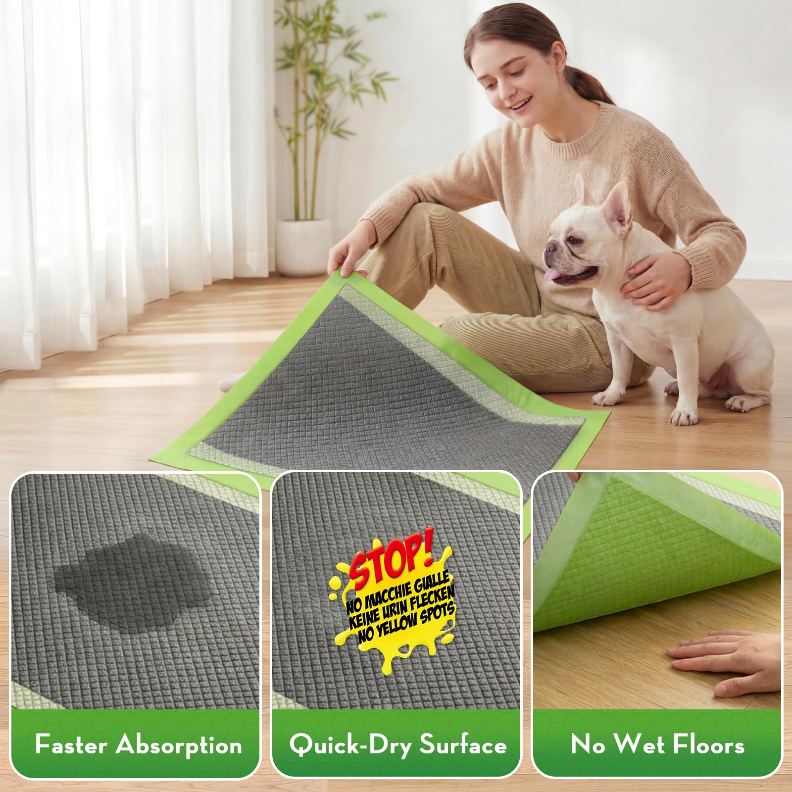 Croci chiot utilisant tapis à la maison pour apprentissage propre