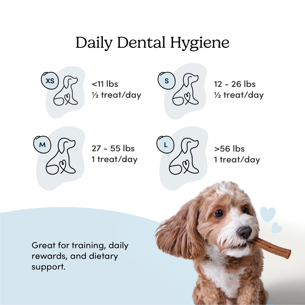Crumps’ Naturals chien mastique friandise améliore l’hygiène buccale