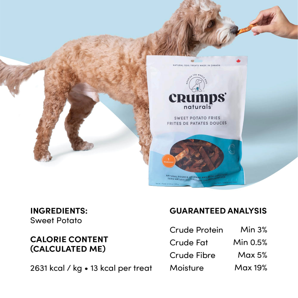 Crumps' Naturals chiot mange une frite à l'extérieur, texture adaptée aux jeunes