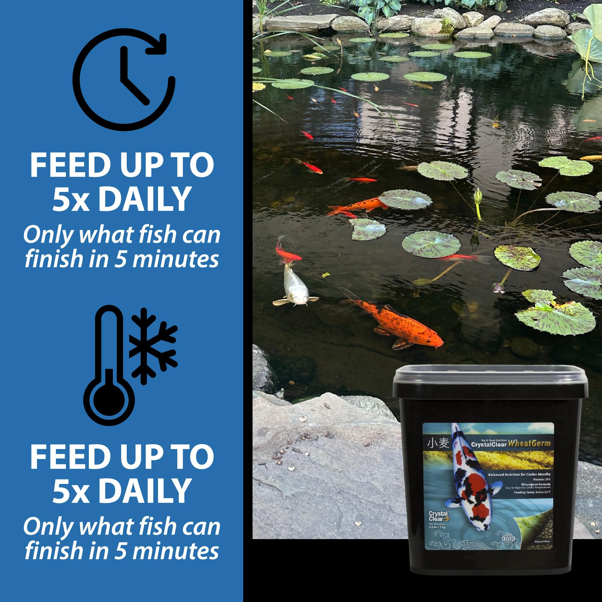 CrystalClear comparaison taille granulé 3,0 mm adaptée koi et poissons rouges