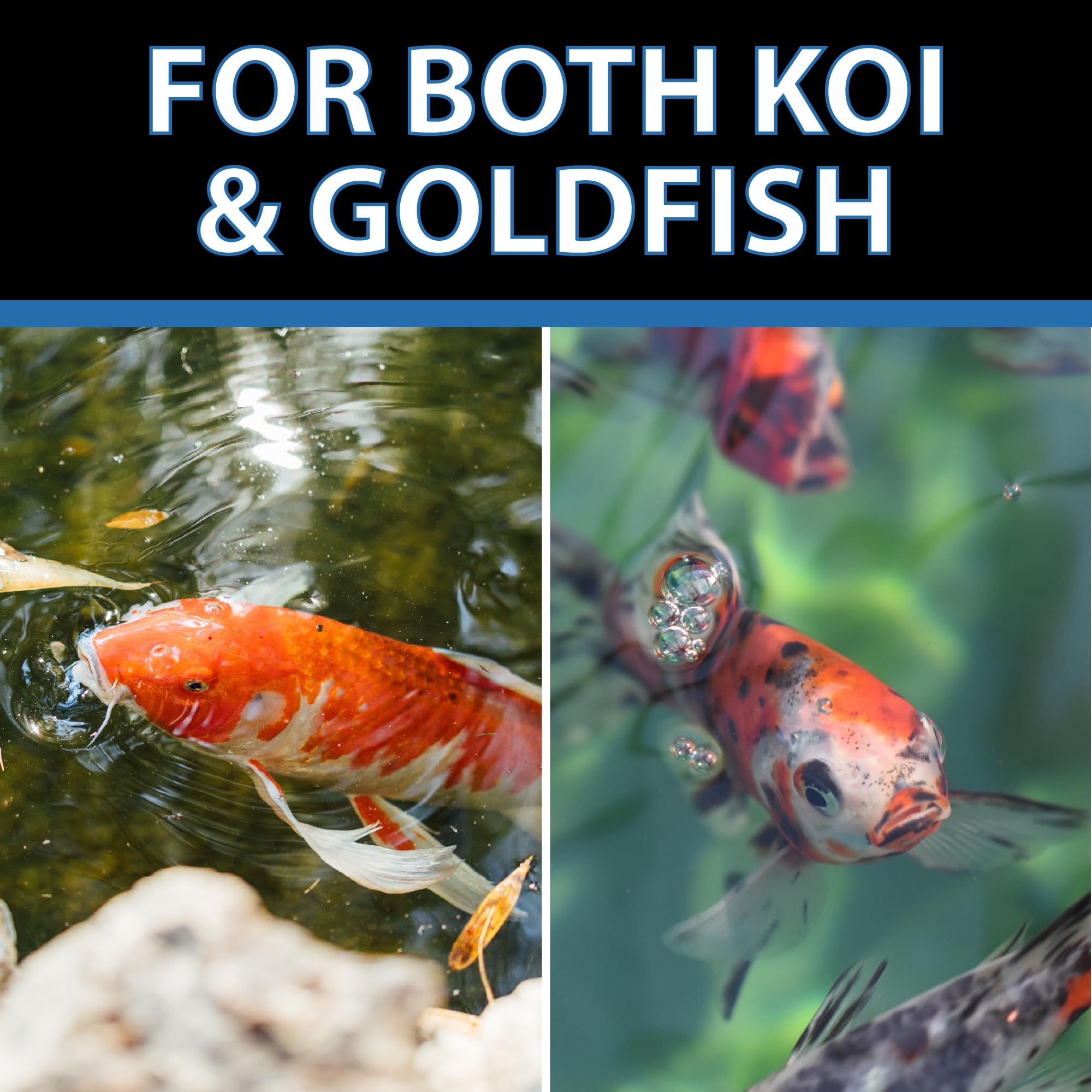 CrystalClear comparaison de taille montrant granulé à côté d'une règle pour échelle