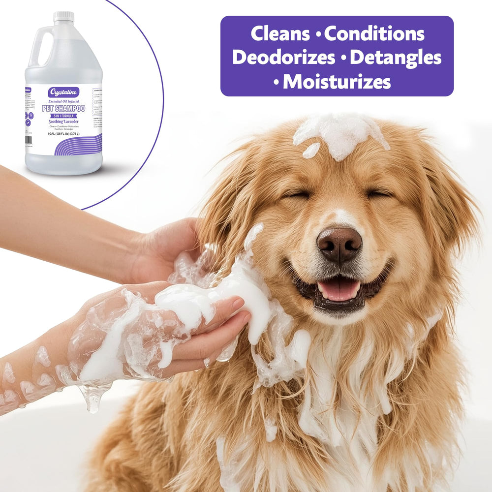 Crystalino comparaison taille bouteille montrant volume pratique pour familles