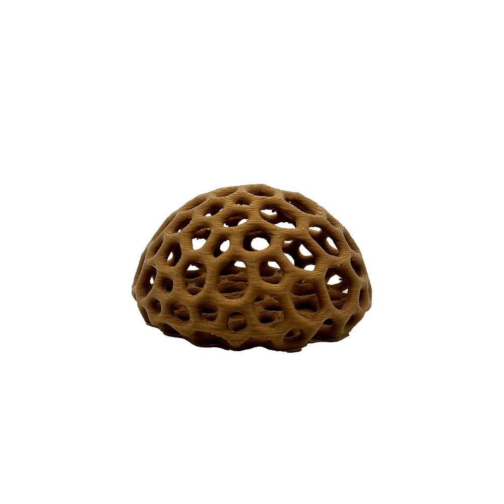 CTWPets comparaison d'échelle pour voir taille adaptée aux nano-bacs