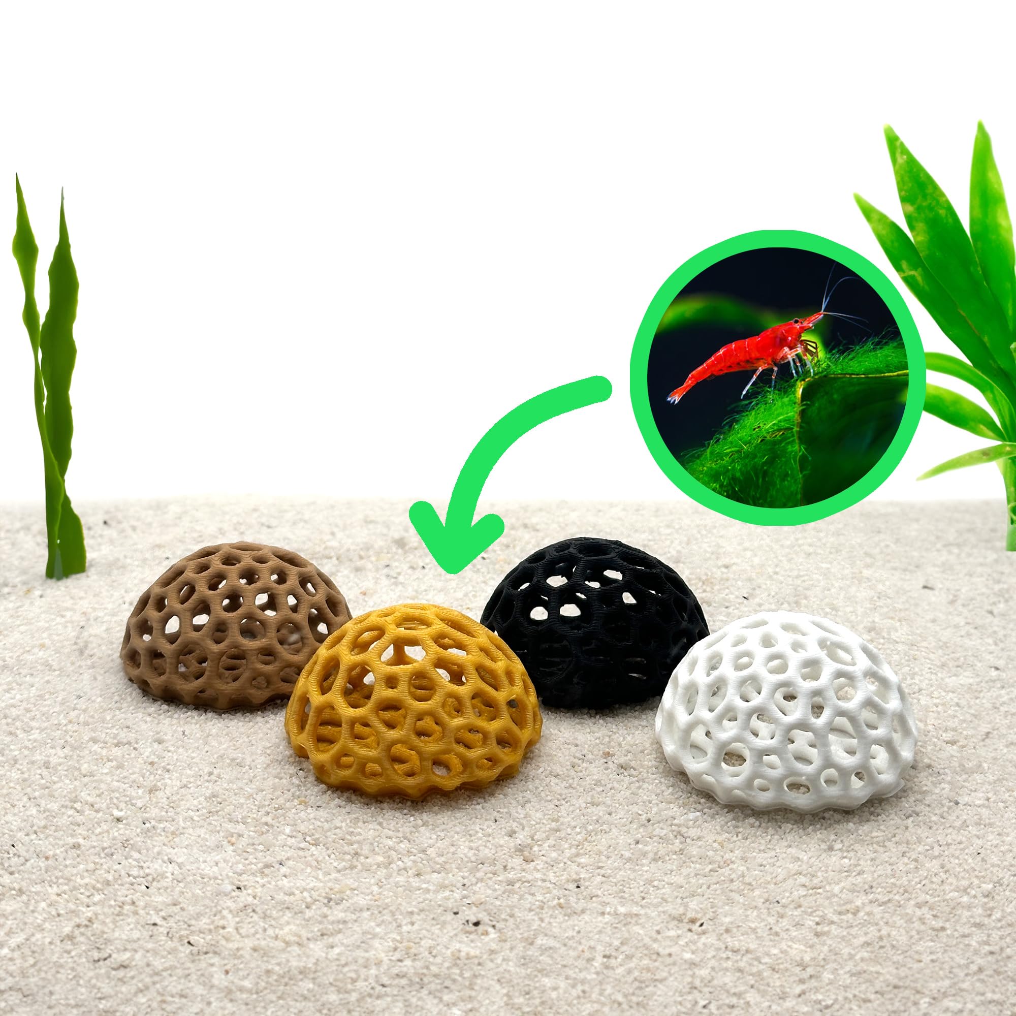 CTWPets dôme pendant nettoyage facile pour entretien régulier sans produits chimiques