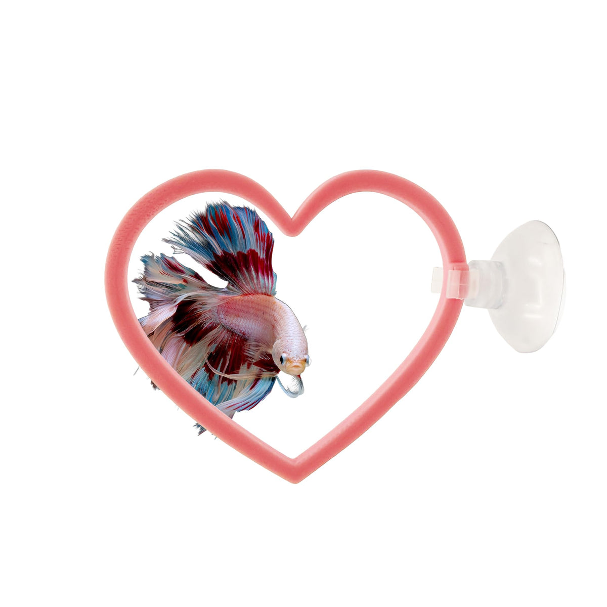 CTWPets anneaux en cœur lot de 2 montrés ensemble, décoration attrayante