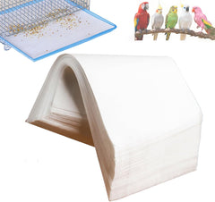 CuaxTume emballage frontal montrant 100 feuilles pour gain de temps