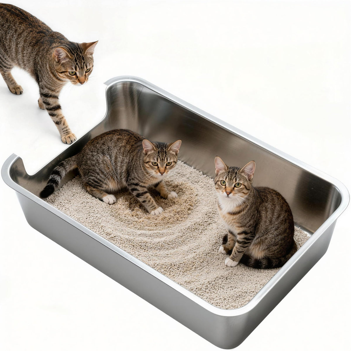 Cuddpaw vue frontale du bac extra-large montrant l'espace pour grands chats