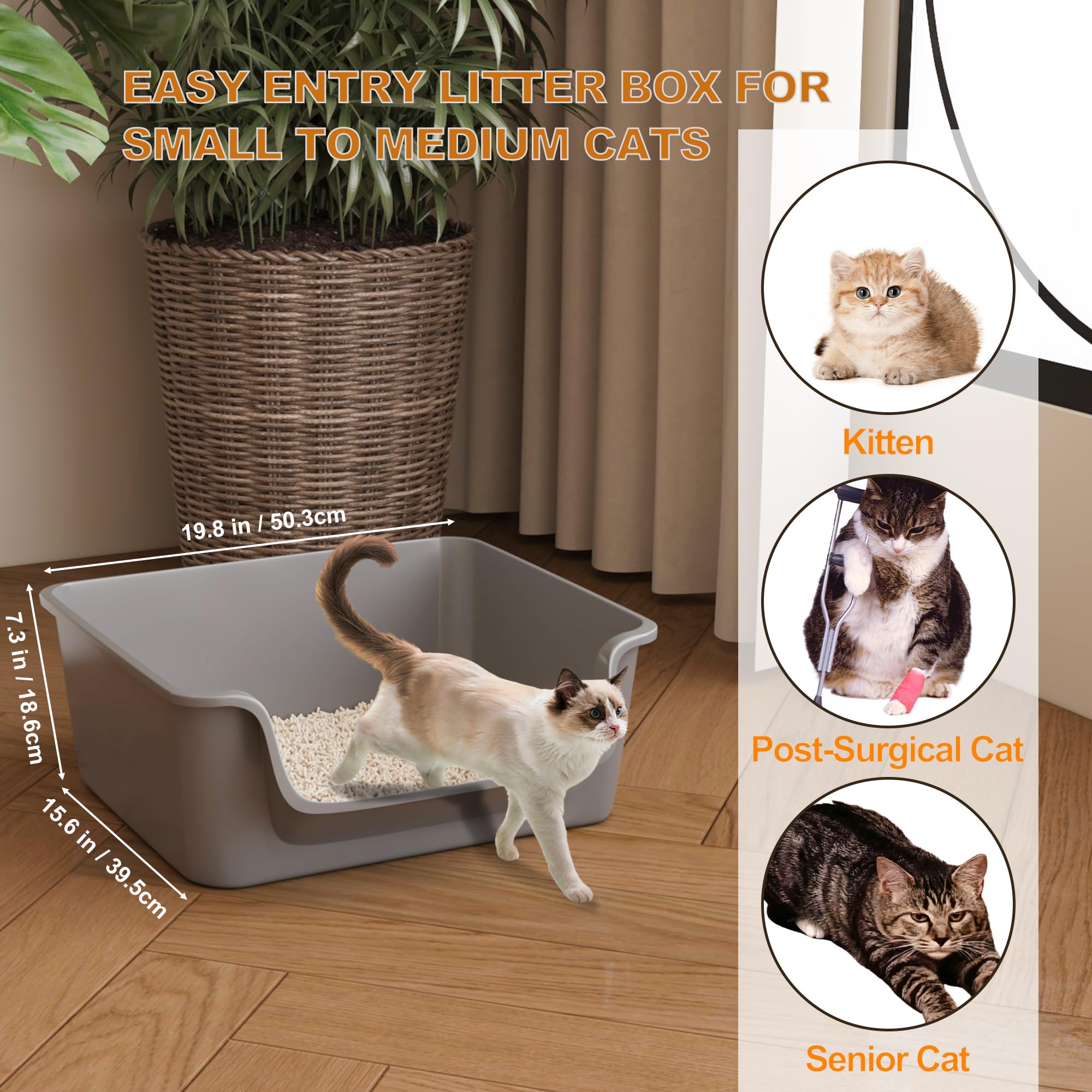 Cuddpaw gros plan entrée inclinée facilitant l’entrée
