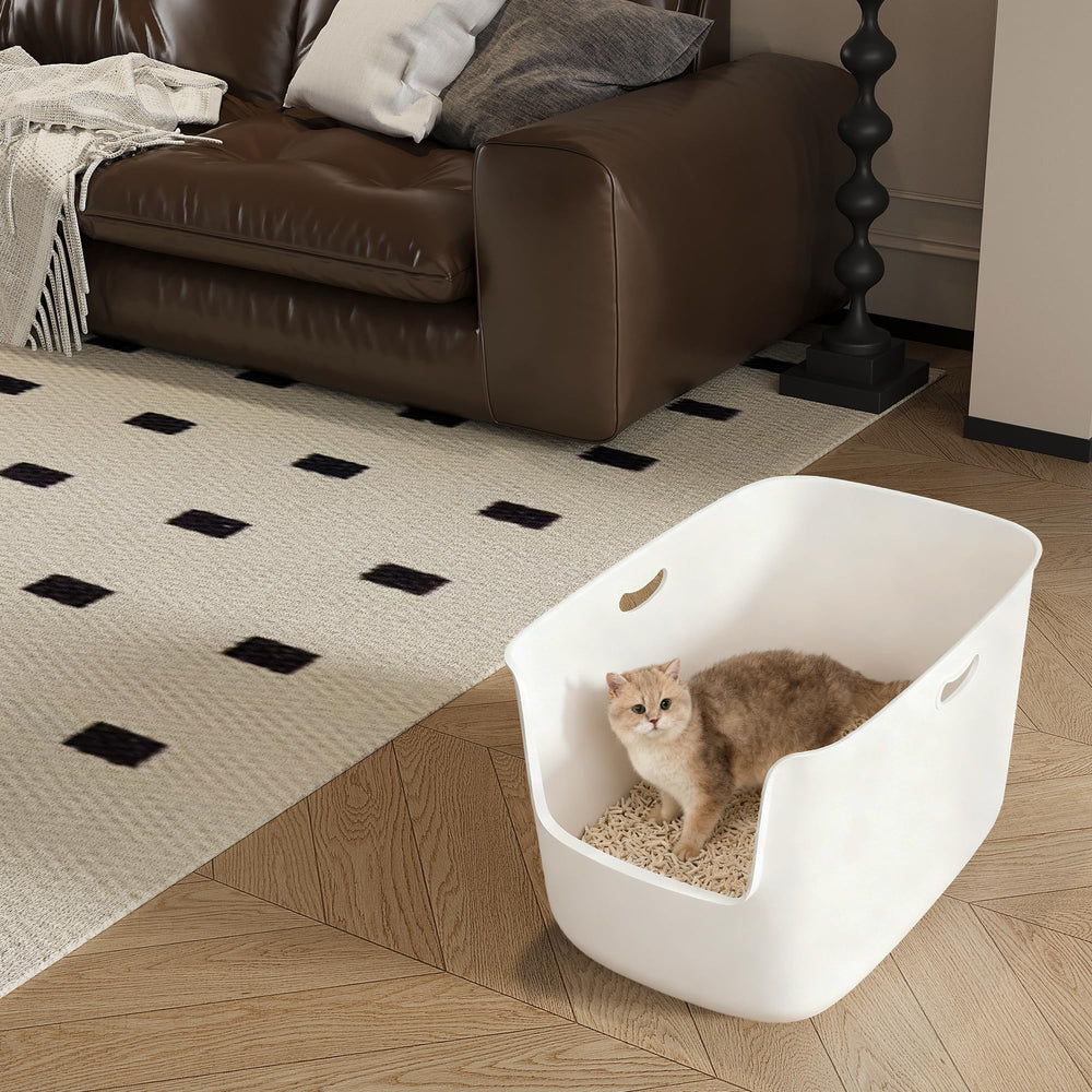 Cuddpaw mise en scène salon illustrant un emplacement discret et propre
