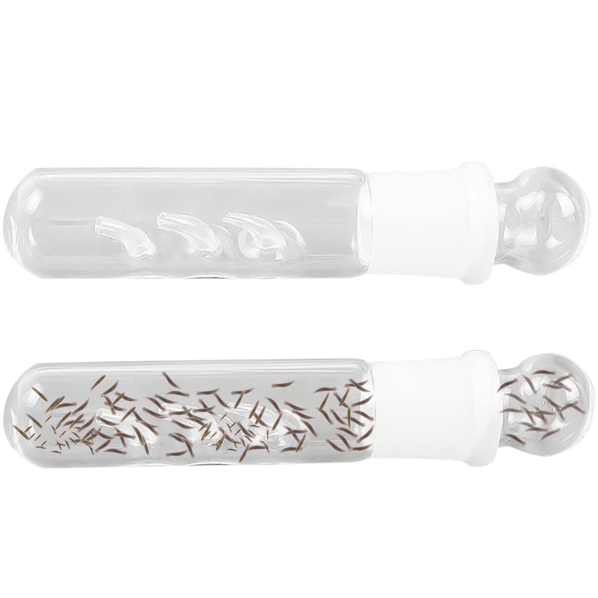 Cunguv tube en verre face avant montrant transparence et observation