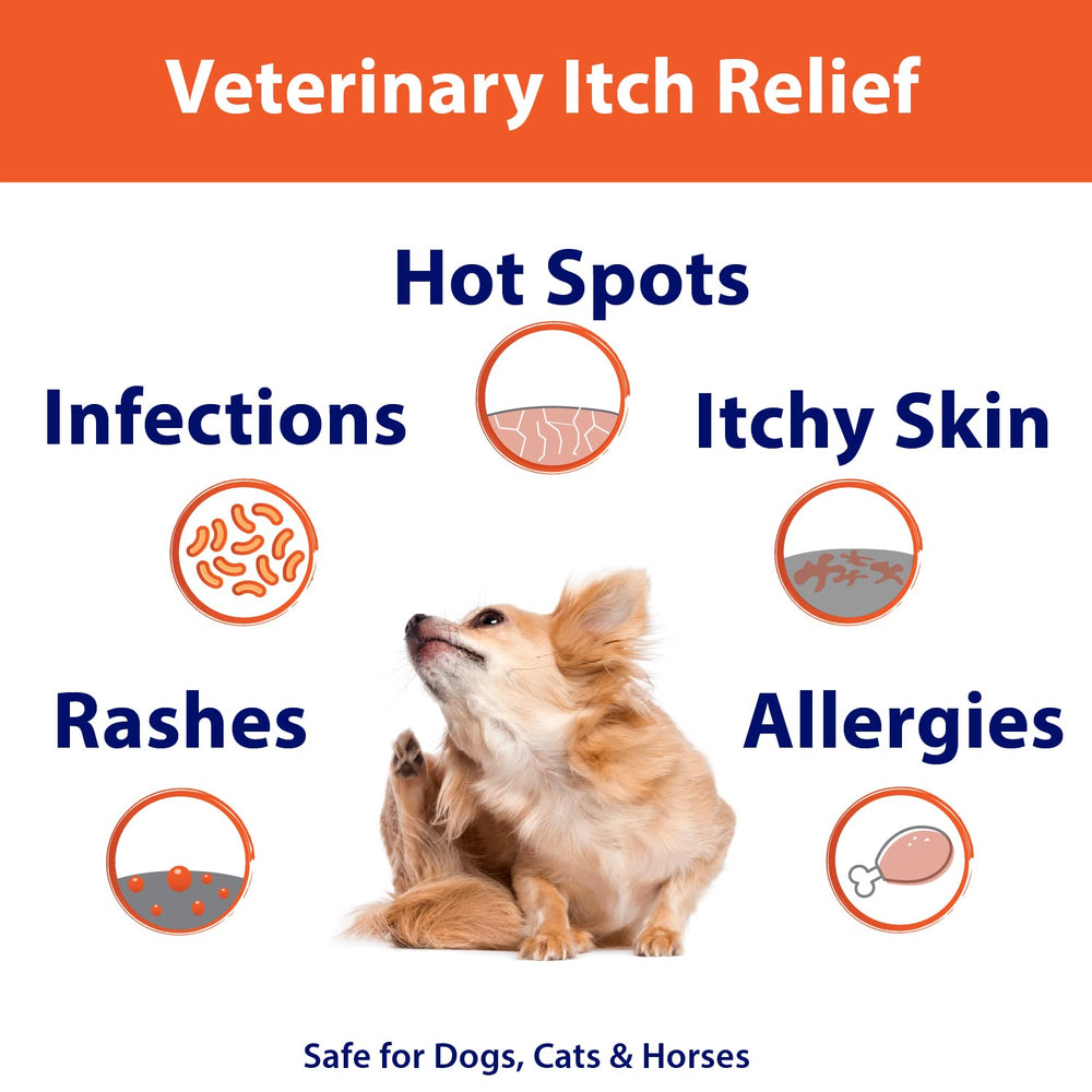 Curaseb application sur chien en bain, aide à réduire les irritations