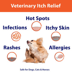 Curaseb application sur chien en bain, aide à réduire les irritations