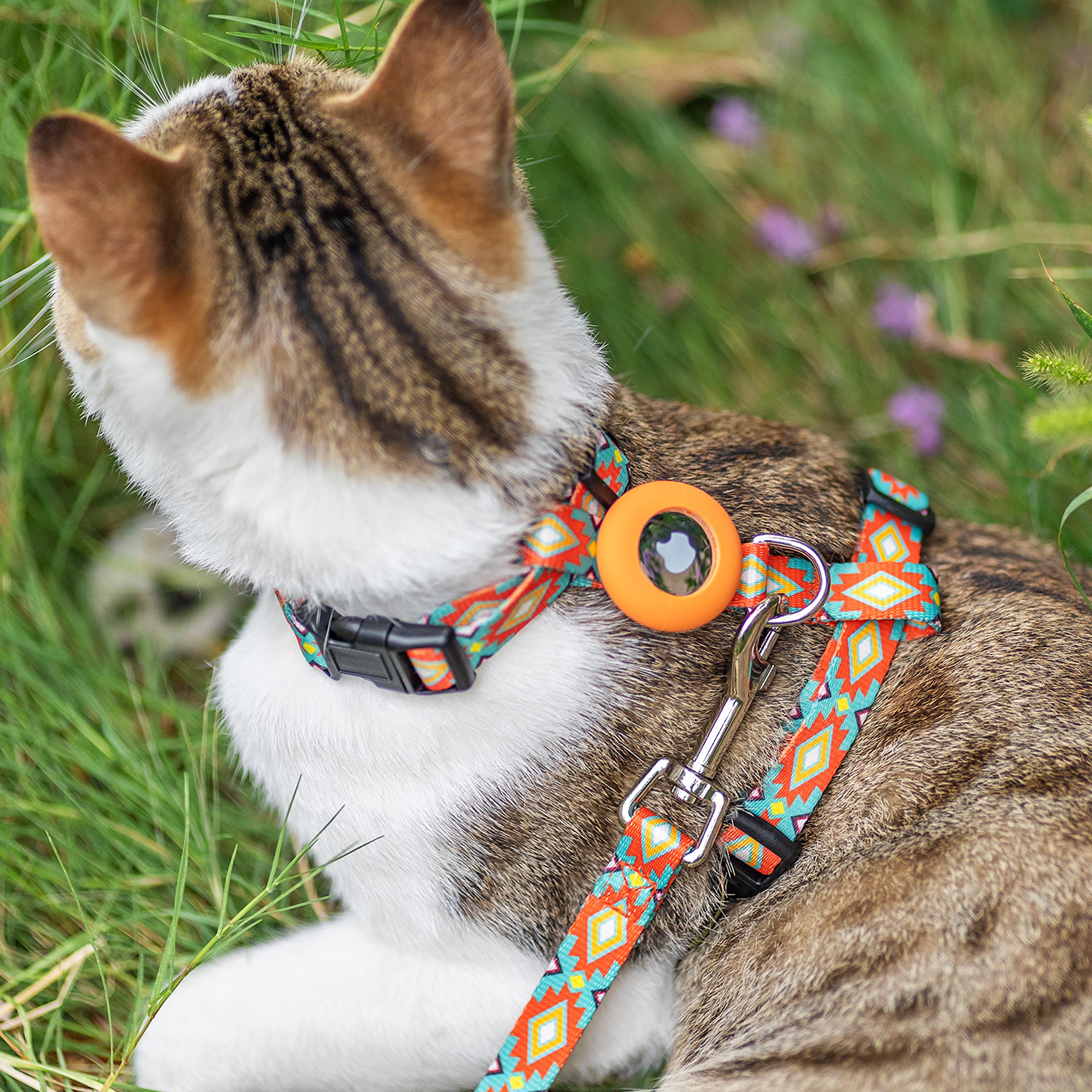 CUSOZWO chat en promenade avec laisse illustrant liberté contrôlée