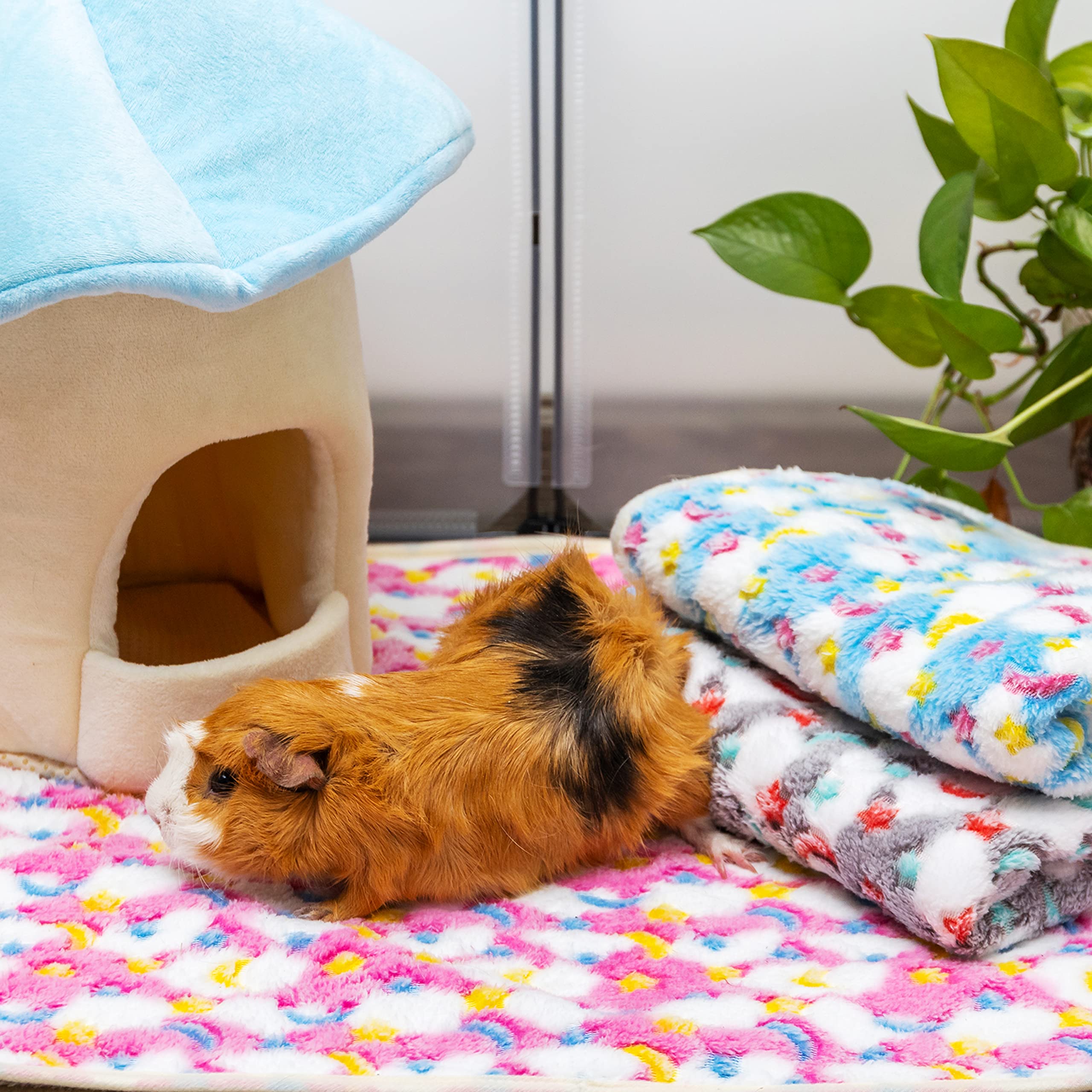 CUSOZWO comparatif tailles small et medium aide au choix