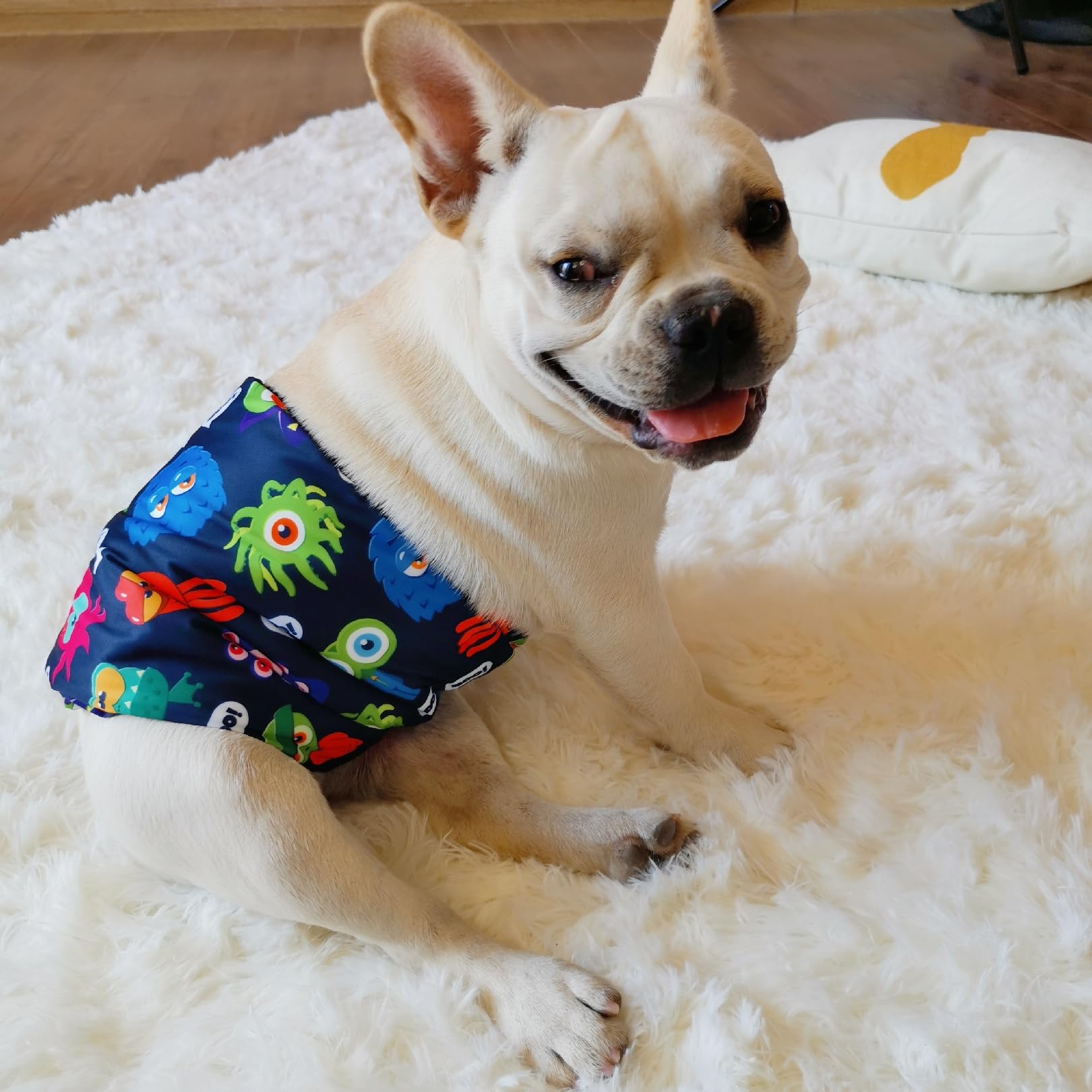 CuteBone détail du scratch garantissant un ajustement sécurisé