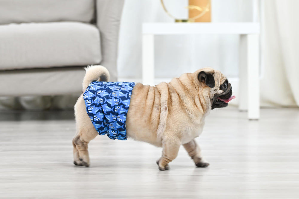 CuteBone trois motifs différents pour distinguer plusieurs animaux