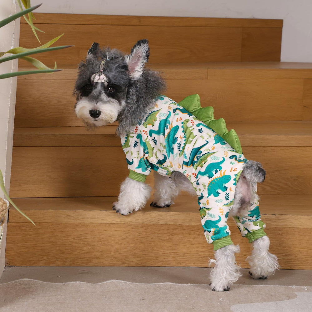CuteBone mise en situation maison thermique, garde la chaleur du chien