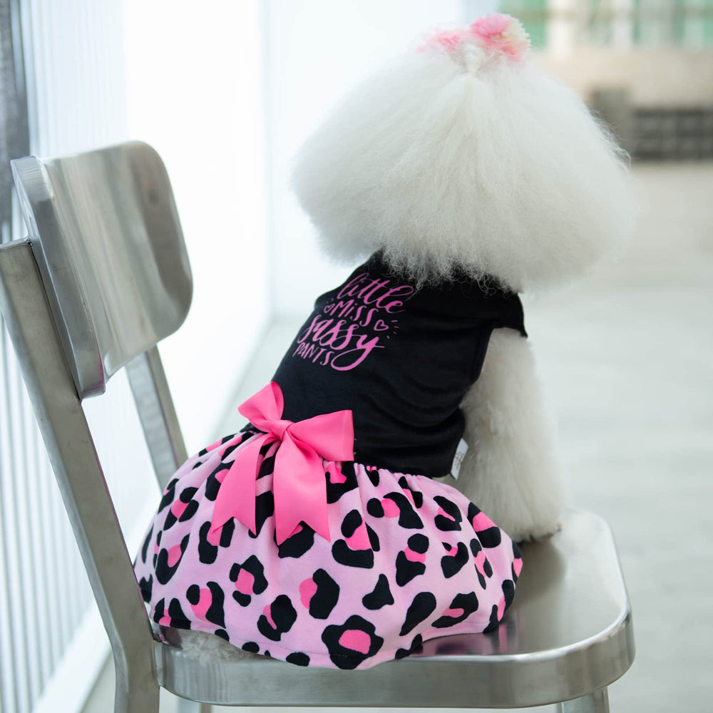 CuteBone nœud accessoire détaillé ajoutant finition charmante