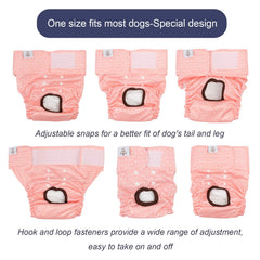 CuteBone velcro ouvert facile à ajuster pour un maintien sûr