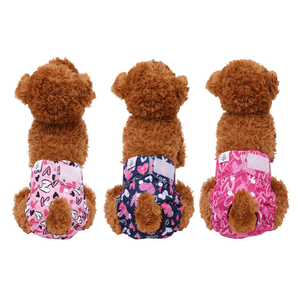 CuteBone position sur chienne montrant coupe et confort en mouvement