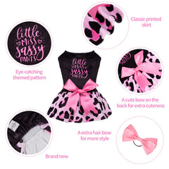 CuteBone velours gros plan montrant texture douce et confortable