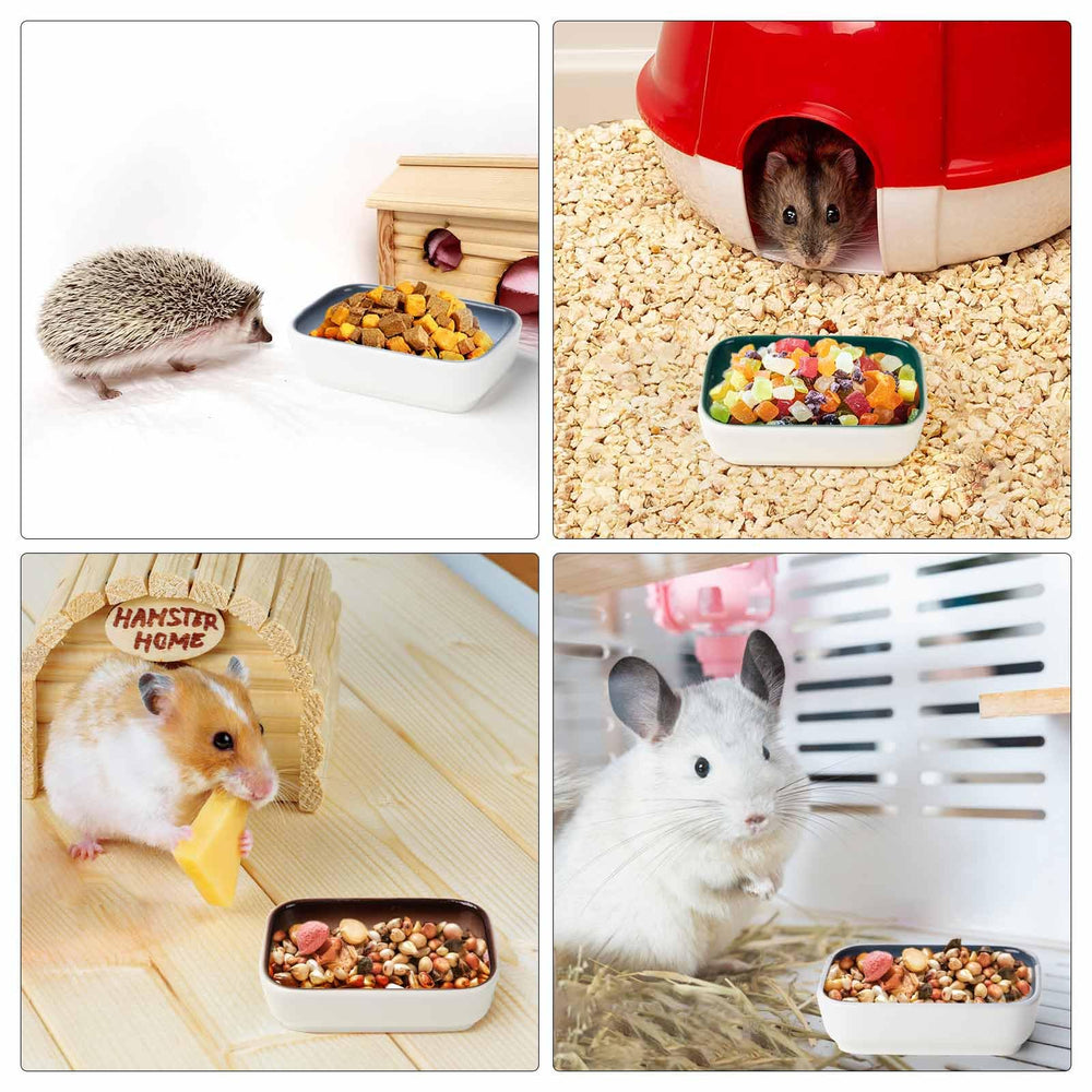 Cutomo bol en comparaison avec une main, taille compacte et stable