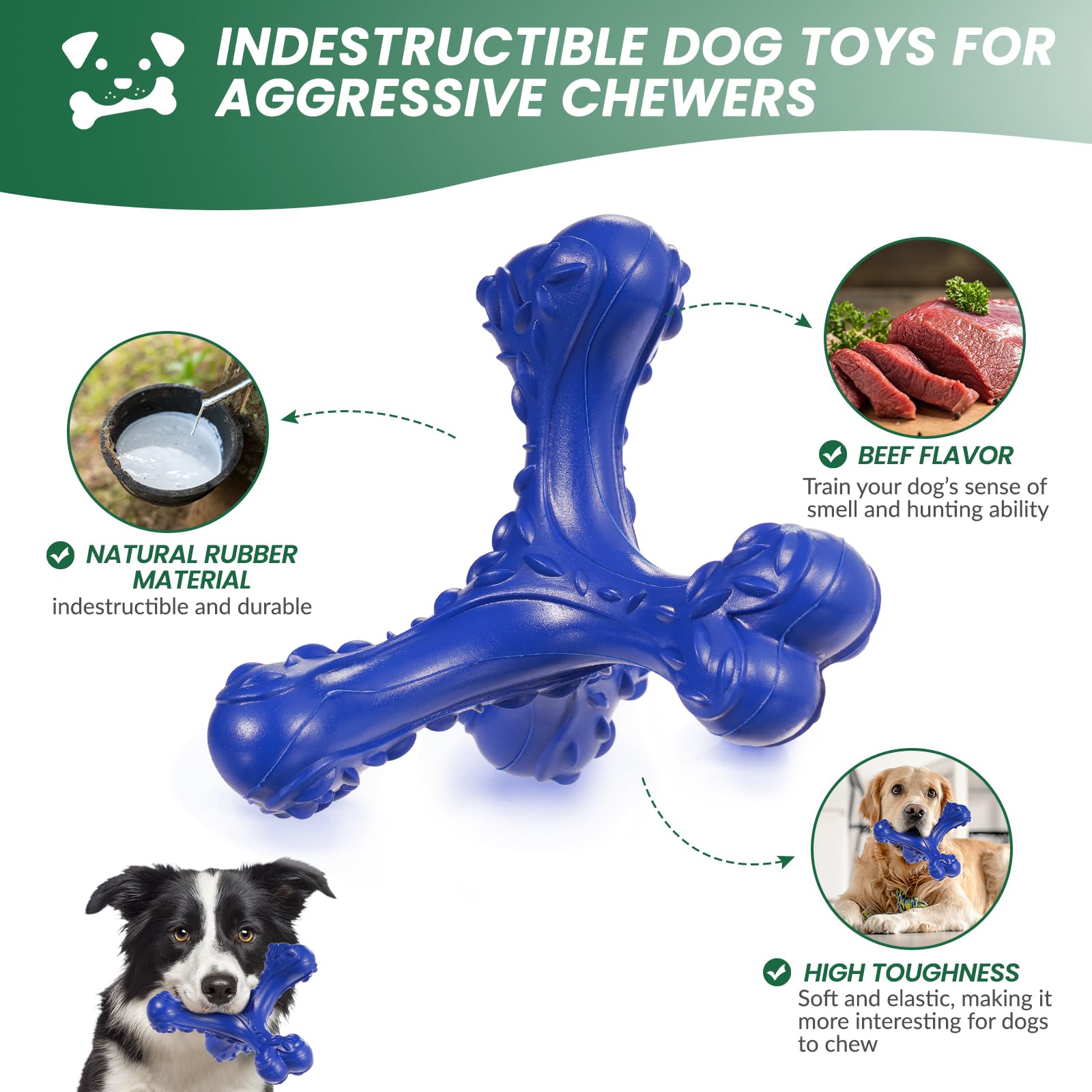 Chien grande race jouant avec jouet CVALIN pour stimulation et occupation