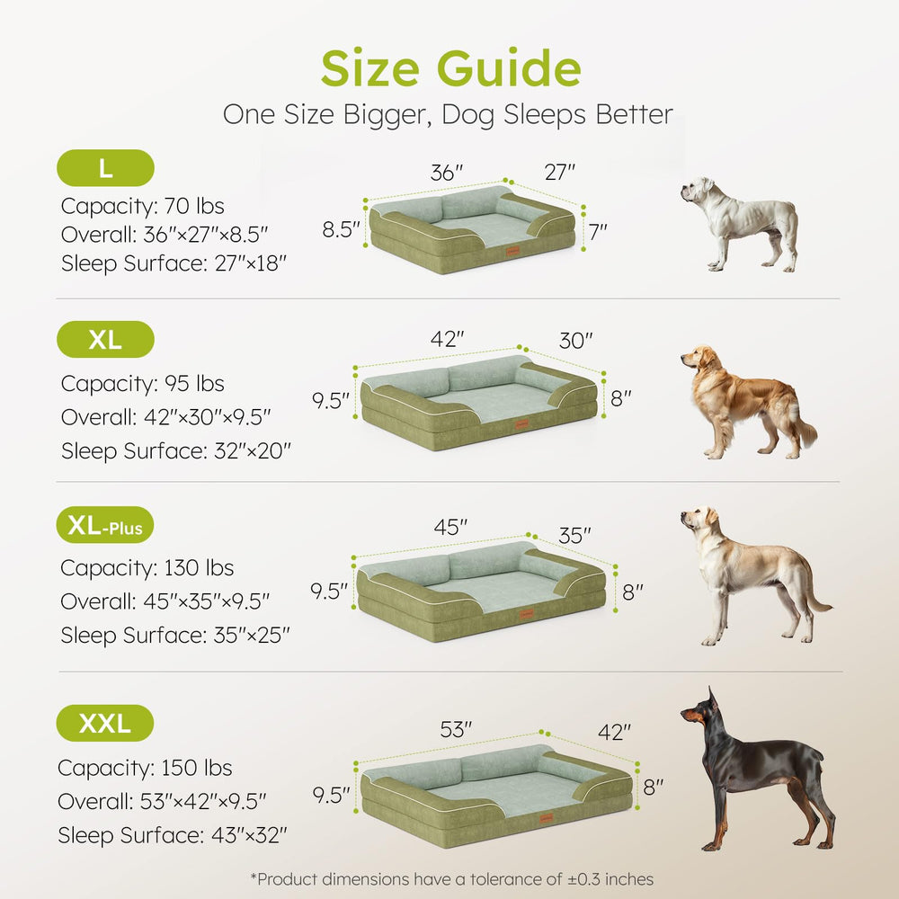 CWAWZ comparaison de taille montrant proportion adaptée aux grandes races
