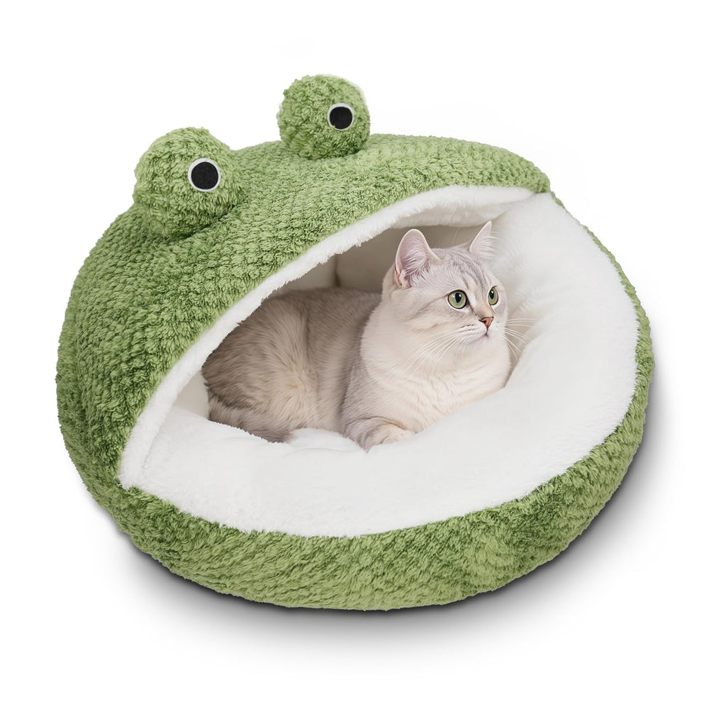 CWV lit grenouille vue avant amusante et accueillante, ajoute du charme