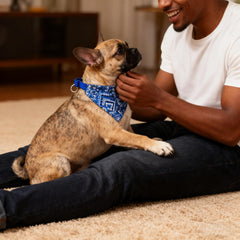 CWYZA bandana porté par un chiot montrant liberté de mouvement