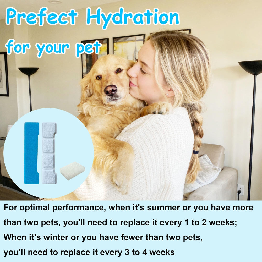 CxylCue fontaine avec chien buvant montrant eau plus propre et fraîcheur