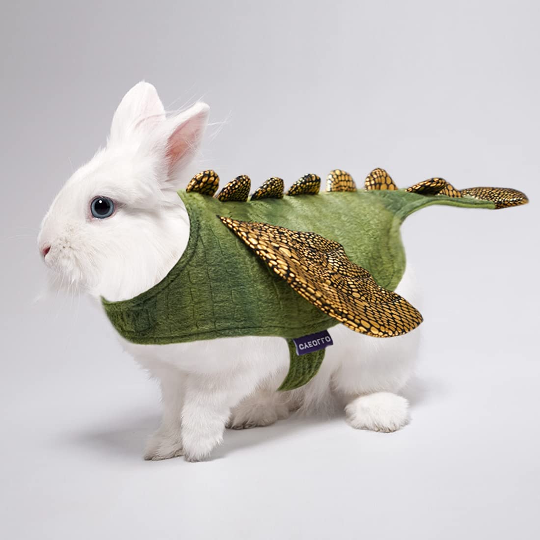 cyeollo chiot portant costume dinosaure pour promenade halloween