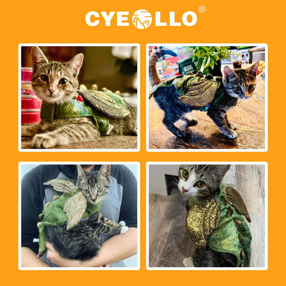 cyeollo emballage et étiquette indiquant entretien lavable