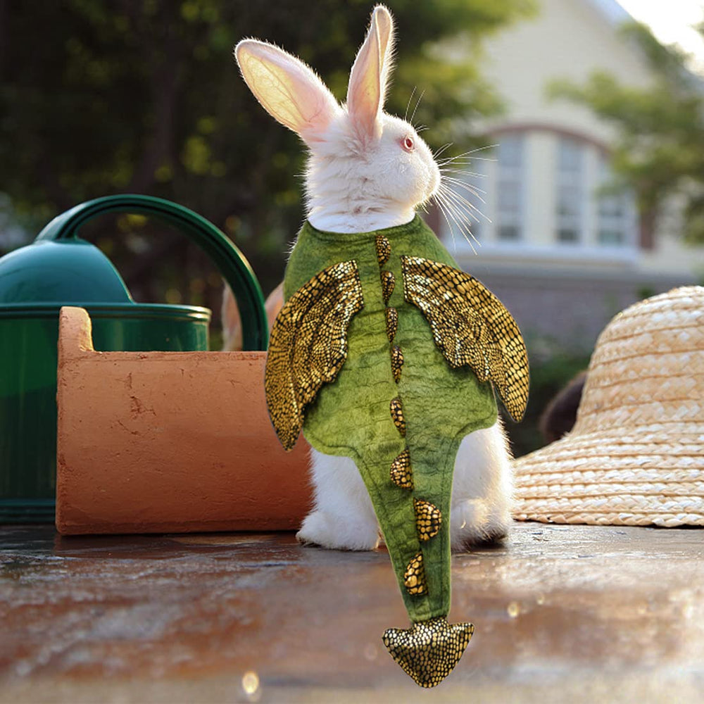 cyeollo lapin assis avec costume dinosaure pour photos mignonnes