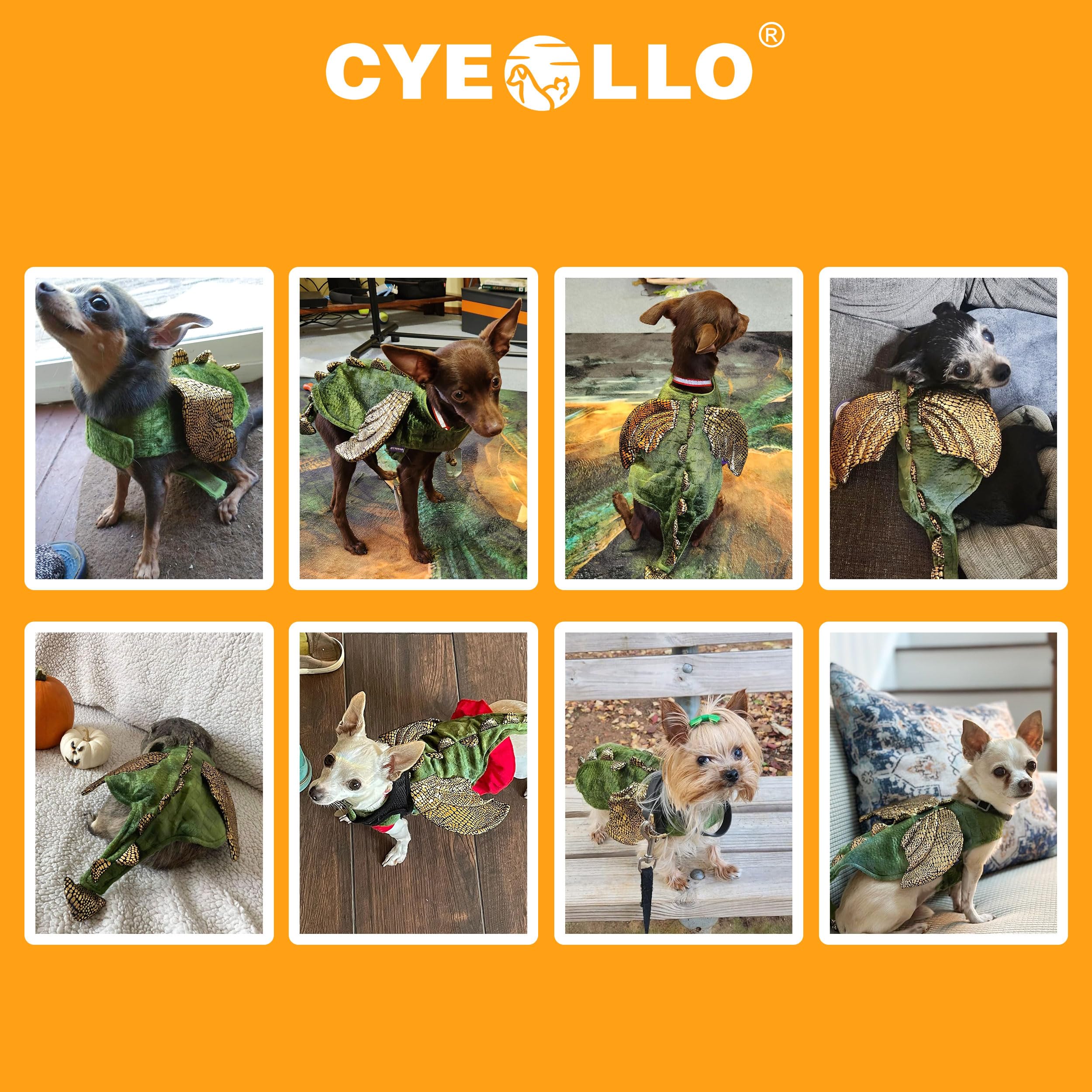 cyeollo scène lifestyle costume dinosaure lors d’une fête d’halloween