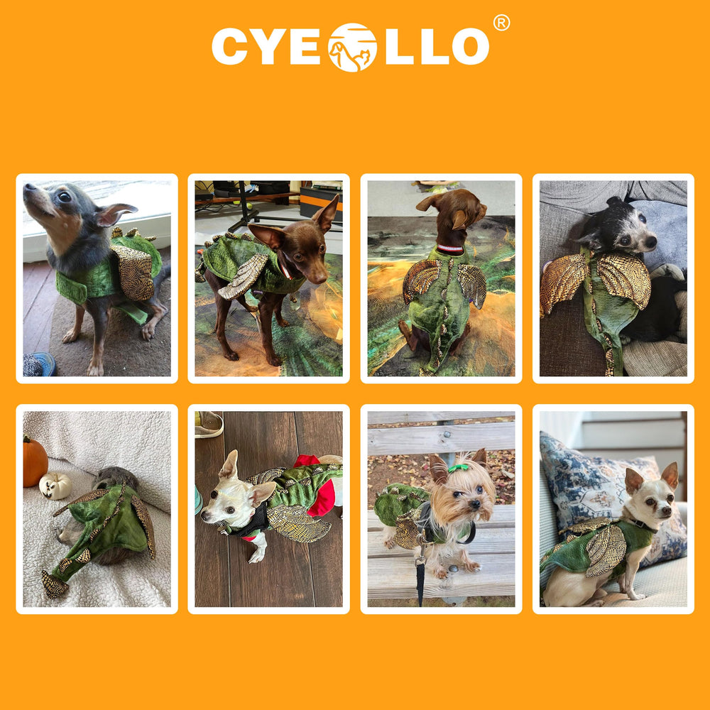 cyeollo scène lifestyle costume dinosaure lors d’une fête d’halloween
