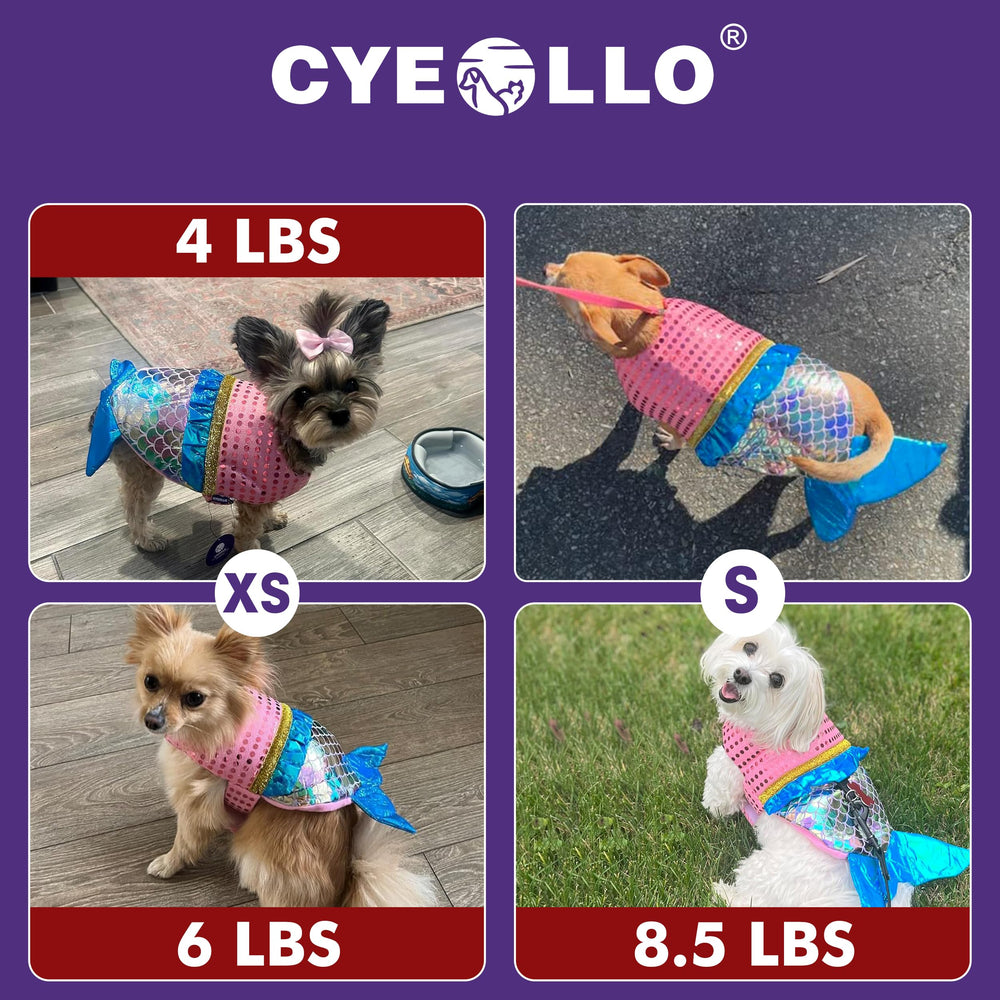 cyeollo gros plan de la queue sirène pour un rendu photogénique