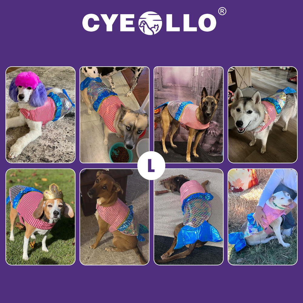 cyeollo comparaison de taille illustrant l’ajustement pour un chien de taille L