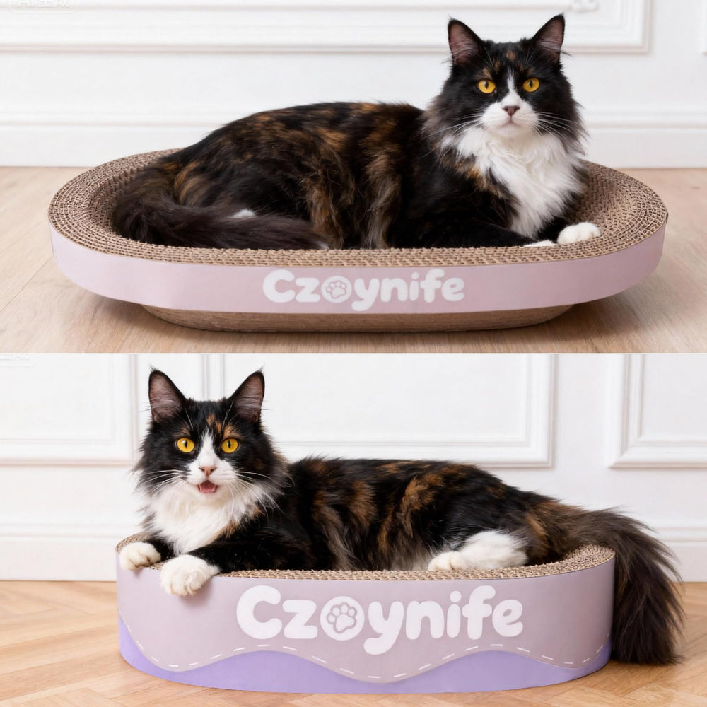 Czoynife comparaison de taille avec main illustrant dimensions compactes