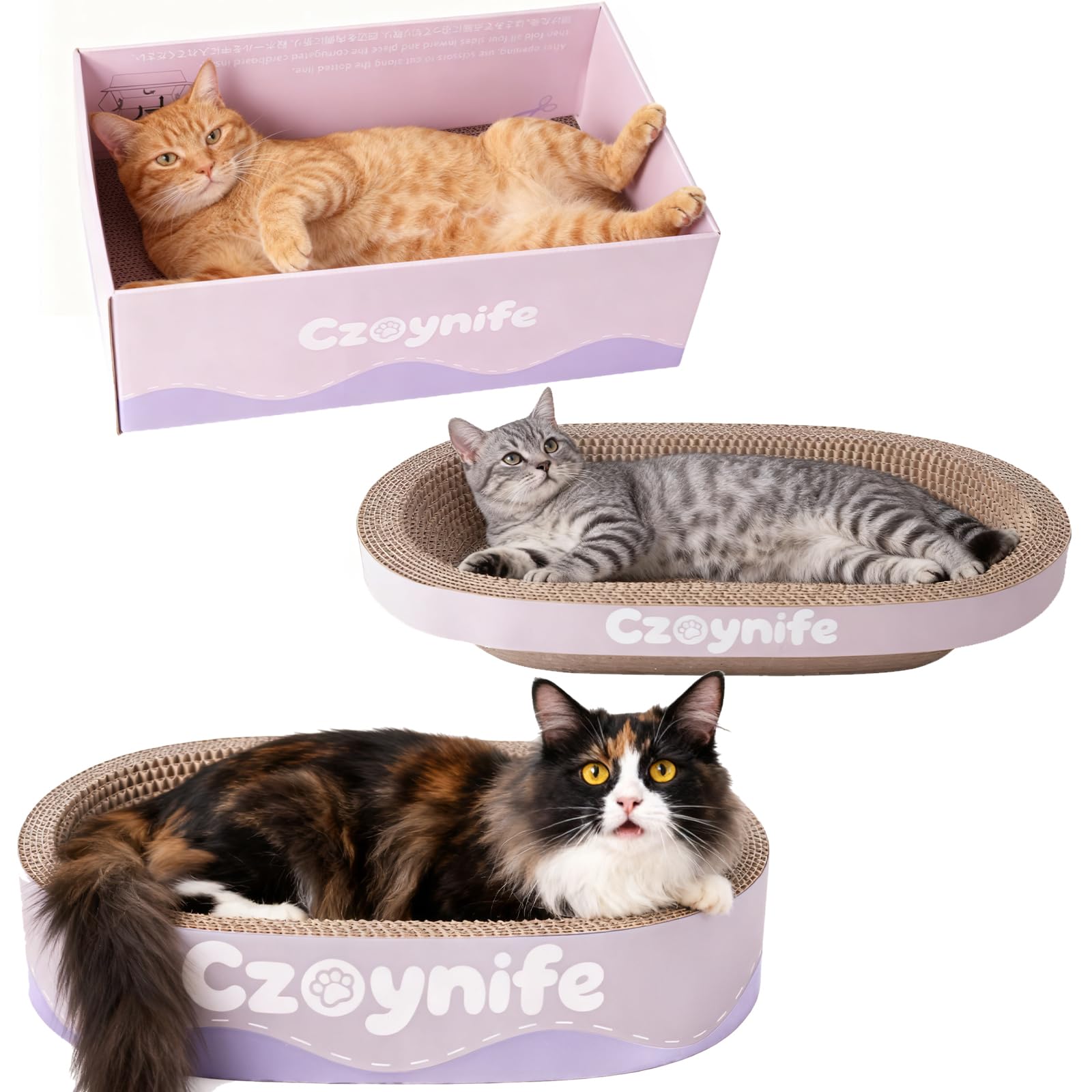 Czoynife nid près d’un canapé montrant protection du mobilier