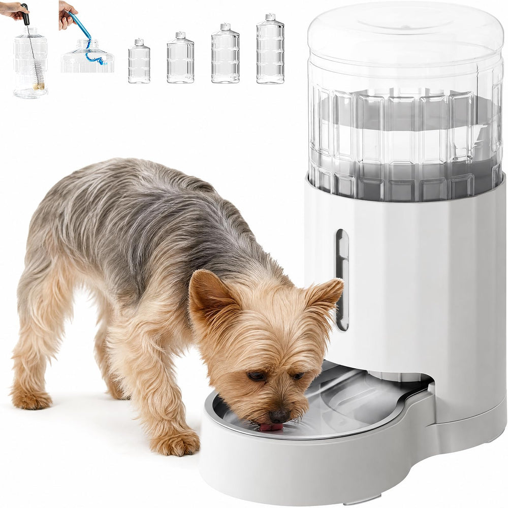 CZPET distributeur face avant blanc montrant design compact et pratique