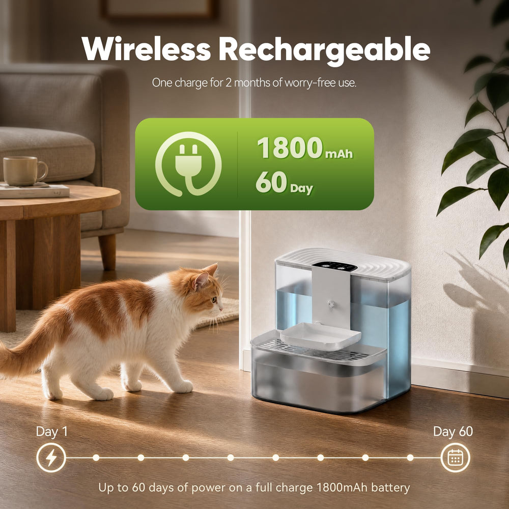 CZPET comparaison taille avec objet pour visualiser encombrement réel