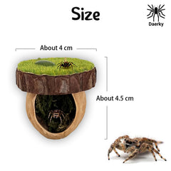 Daerky vue des aimants néodymes, fixation solide et antichute