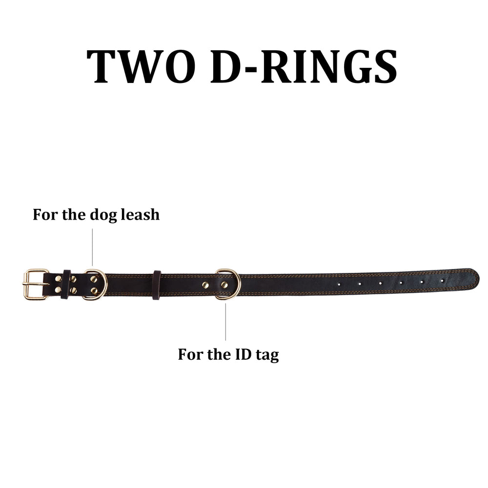 DAIHAQIKO collier porté par petit chien pour promenades confortables et sûres