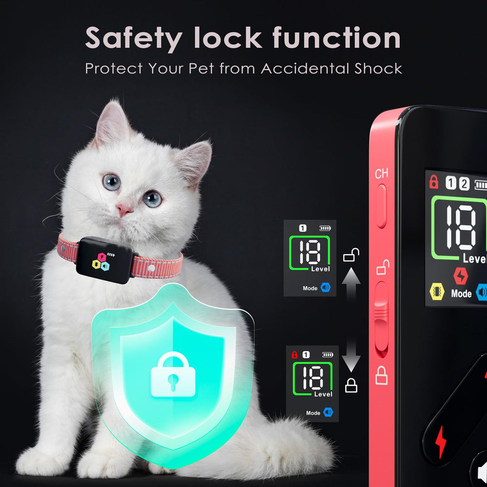 Dali Energy Cat collier réglable démontrant tailles possibles