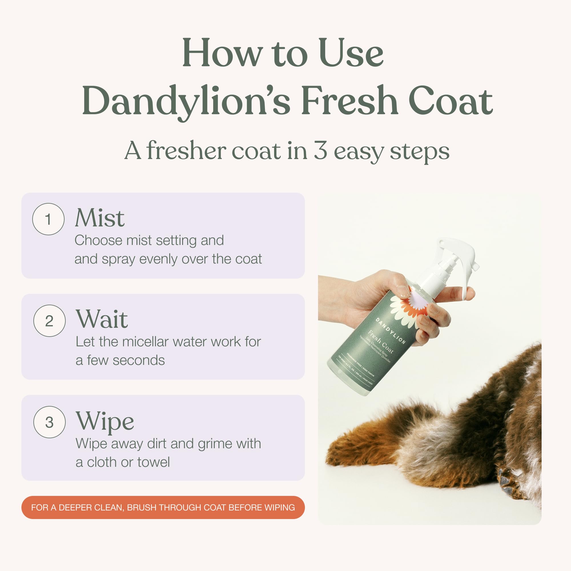 Dandylion Fresh Coat à côté d'une main pour visualiser le format pratique