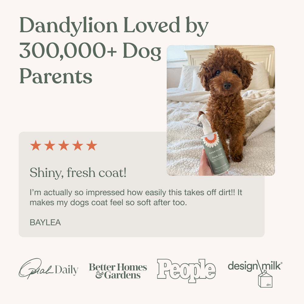 Dandylion Fresh Coat avec serviette illustrant le geste simple spray puis essuyage