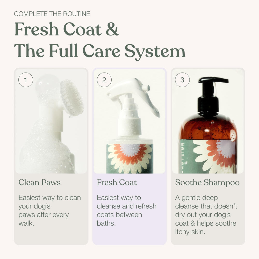 Dandylion Fresh Coat utilisé dans un salon montrant routine quotidienne sans bain